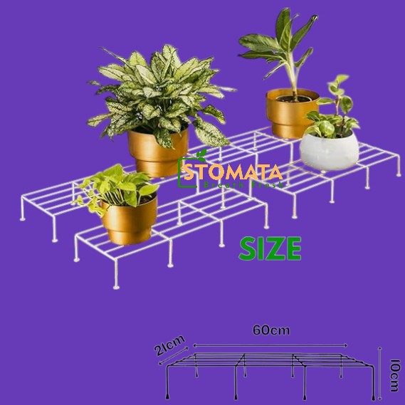 Indigo Anti Rust Metal Plant Stand for balcony (Set of 4) | Planter stand for living room - 24 inches | Pot stand for outdoor & Indoor plants