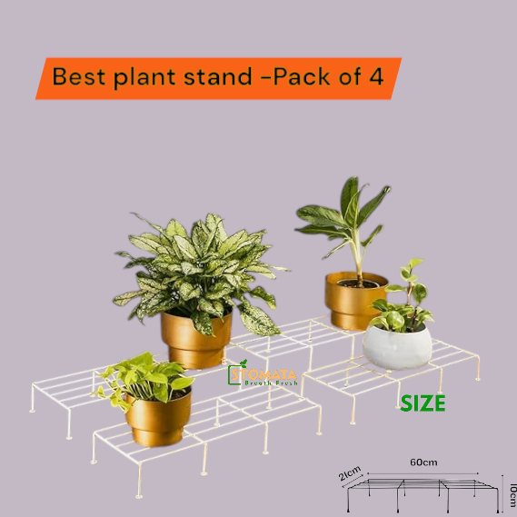 Indigo Anti Rust Metal Plant Stand for balcony (Set of 4) | Planter stand for living room - 24 inches | Pot stand for outdoor & Indoor plants