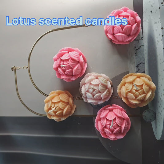 Arwan Aroma's Scented Lotus Wax Candle Pack of 4(Multicolor)